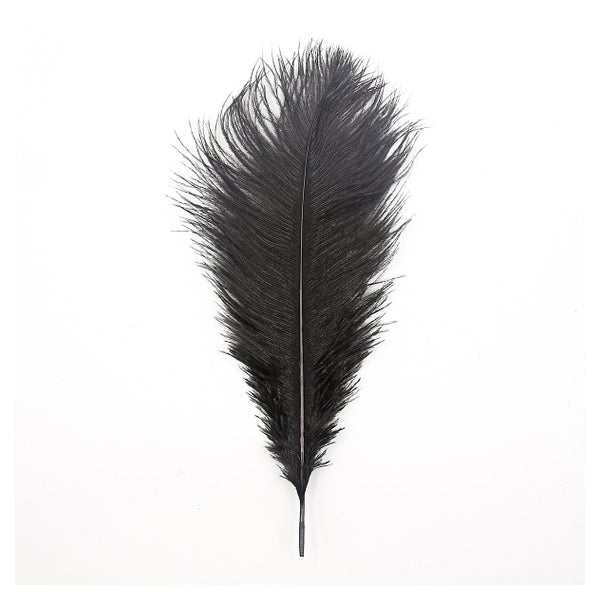 Liane - Ostrich feather 1 St