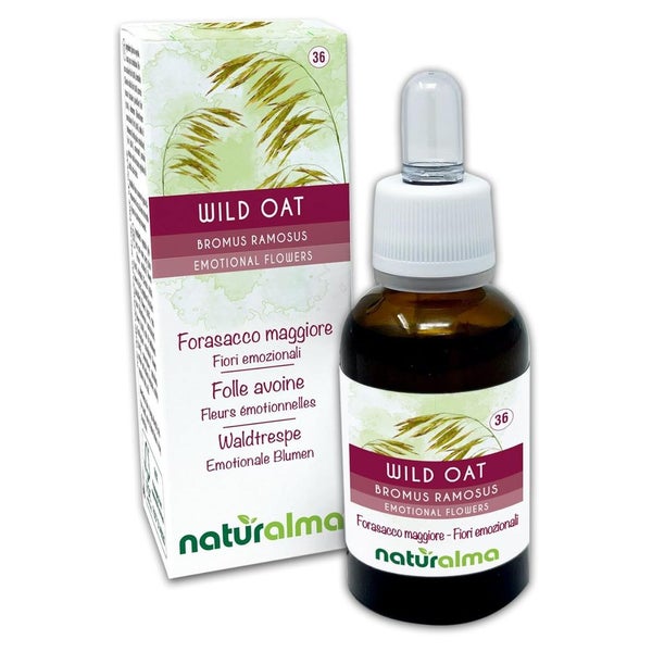 Naturalma Waldtrespe Bromus ramosus Tropfen 30 ml