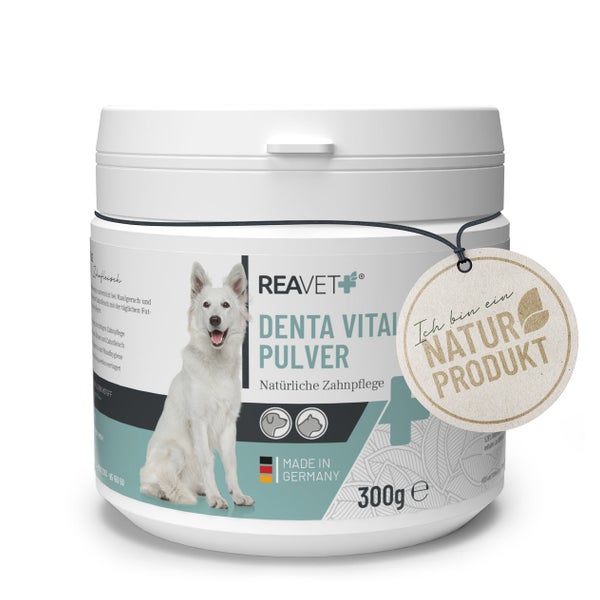 Denta Vital Pulver 300 g