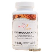 Vestibulocochlea 180 St 180 St