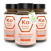 Kollagen Institut® Gelenk Kollagen Kapseln Vorteilsset 3 x 180 St