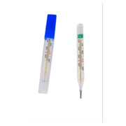 Quecksilberfreies Glas-Thermometer 1 St