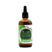 Cryptolepis alkoholfreier Extrakt 1:1 (100ml) 100 ml