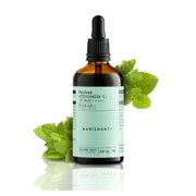 Produktabbildung: Melissen Extrakt Kräuter Tropfen Alkoholfrei 100 ml