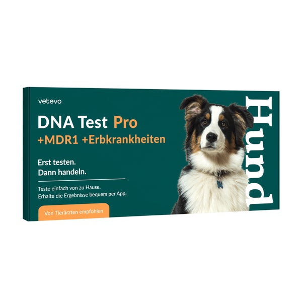 DNA Test Rassebestimmung Pro +MDR1 +Erbkrankheiten Hund 1 St