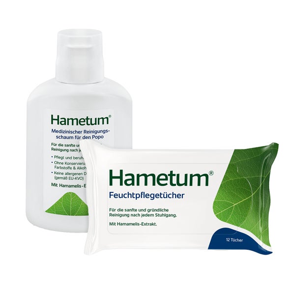 Hamutum Reinigungssch + Feuchttüch Set 1 Set