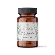 Holy Health MultiKomplex Immunsystem Booster | Starke Abwehrkräfte 120 St