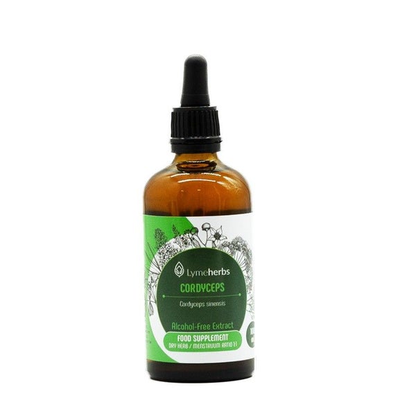 Cordyceps alkoholfreier Extrakt 1:1 (100ml) 100 ml