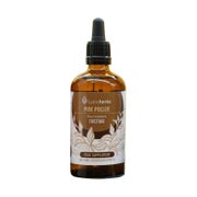 Pinien polen (Kiefernpollen), Tinktur 1: 5 (100 ml) 100 ml