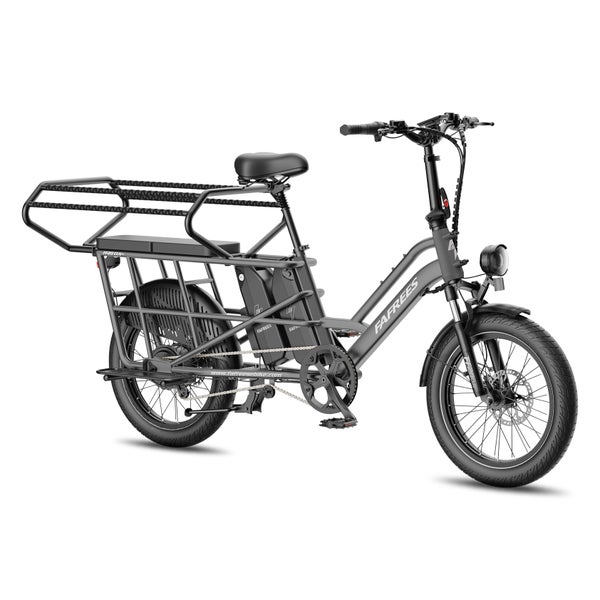 FAFREES FF20 CUV Elektro-Lastenrad, 15-Ah-Doppelakku 1 St