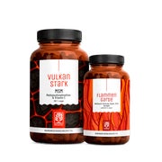 MSM, Kurkuma & Weihrauch Vorteilspaket: Methylsulfonylmethan trifft Ayurveda Kur in einem veganen Bundle - VULKANSTARK & FLAMMENGARDE - NATURTREU® 292.0 g