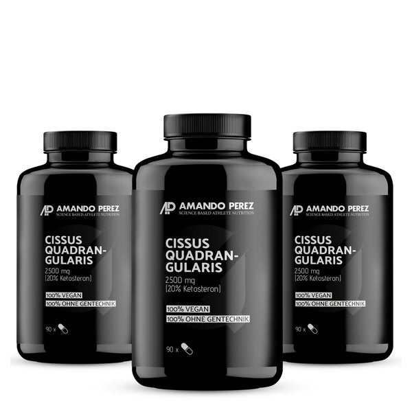Vitabay Cissus Quadrangularis Extrakt 2500 mg 270 St