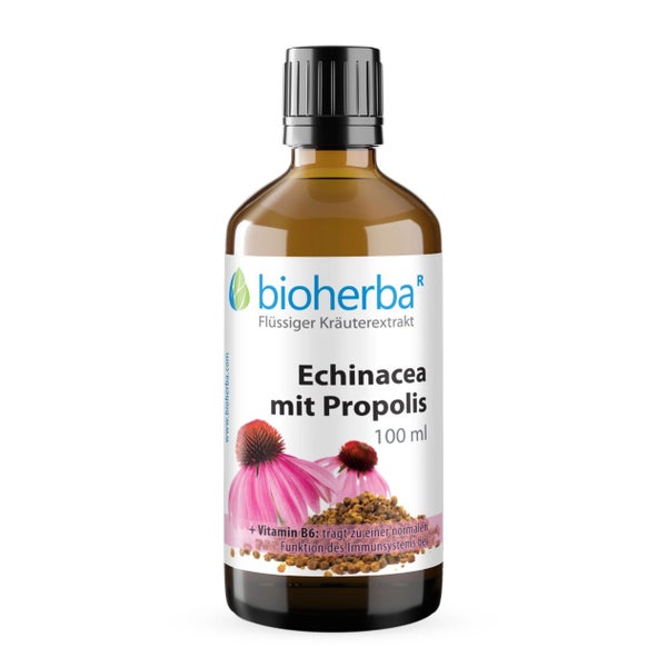 Echinacea Propolis Extrakt Tropfen 100 ml