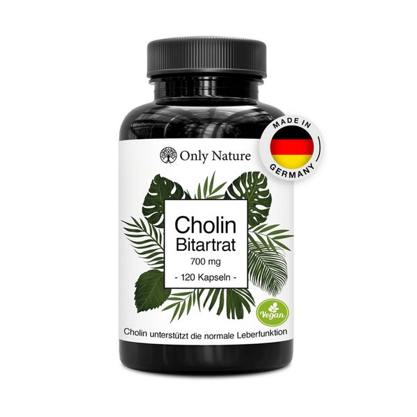 Only Nature Cholin 700 mg – 120 Leber Kapseln 120 St