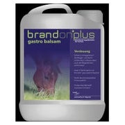 Brandon plus gastro Balsam 2,5 l