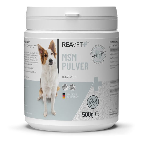 MSM Gelenk-Aktiv 500 g