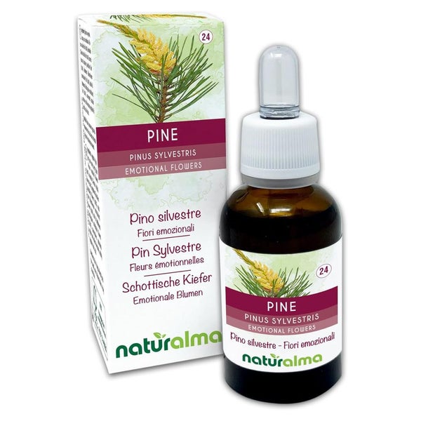 Naturalma Schottische Kiefer Pinus sylvestris Tropfen 30 ml