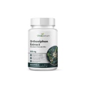 VitaSanum® Katzenbart-Extrakt (Orthosiphon) 10:1 500 mg pro Tagesportion (1 Kapsel) 90 St