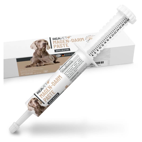 Magen-Darm Paste 30 ml