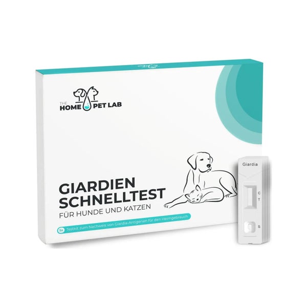 HomePetLab Giardien Schnelltest Hunde & Katzen 5er Packung 5 St