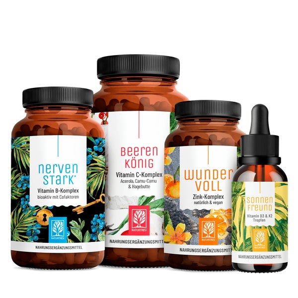 Routine Paket: B-Vitamine, Vitamin C (Camu Camu, Hagebutte & Acerola),  Zink & Vitamin D3 + K2 in einem veganen Bundle - NERVENSTARK, BEERENKÖNIG, WUNDERVOLL, SONNENFREUND - NATURTREU® 205.4 g