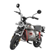 iScooter Y18 Elektromotorrad mit 48V 20Ah Akku 1 St