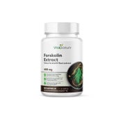 VitaSanum® - Forskolin (Indische Buntnessel) (Coleus Forskohlii) 400 mg 60 Kapseln 60 St