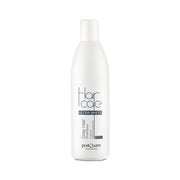 POSTQUAM HAARPFLEGE Graues Haar 250 ML.