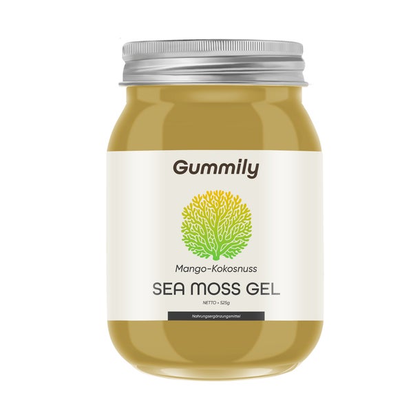 Sea Moss Irisches Seemoos Wild Mango Kokos 525 g