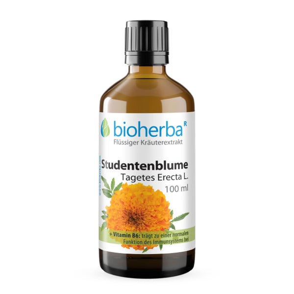 Studentenblume Extrakt Tropfen 100 ml