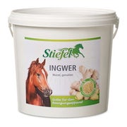 Stiefel Ingwer 1 kg
