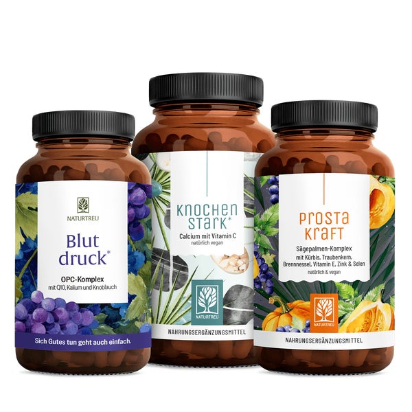 Starke Jahre Paket: OPC, Vitamin E & C, Coenzym Q10, Kürbiskern, Sägepalme & Zink in einem veganen Bundle - PROSTAKRAFT, KNOCHENSTARK & BLUTDRUCK - NATURTREU® 263.5 g