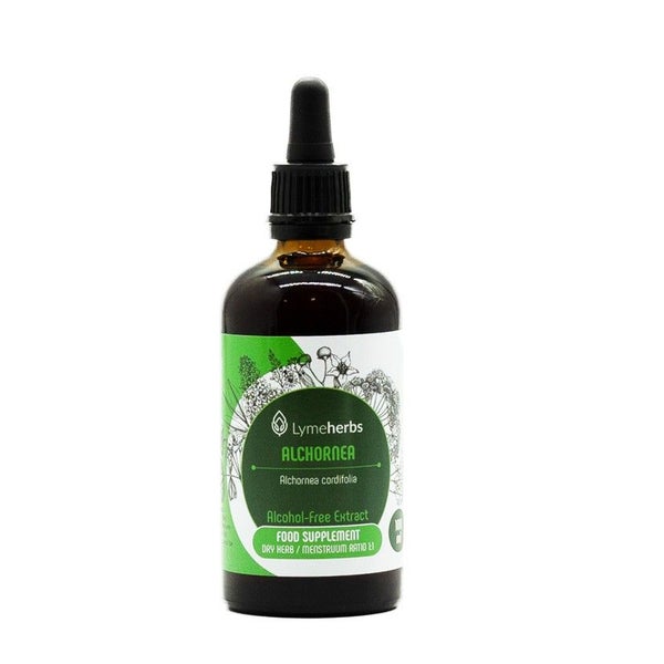 Alchornea alkoholfreier Extrakt 1:1 (100ml) 100 ml
