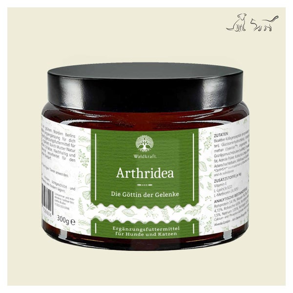 Arthridea - Die Göttin der Gelenke - Tiegel 300g 300 g