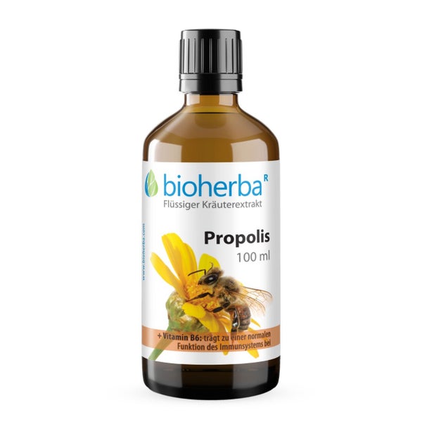 Propolis Extrakt Tropfen 100 ml