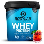 Bodylab24 Whey Protein Pulver, Fruchtmix 1000 g