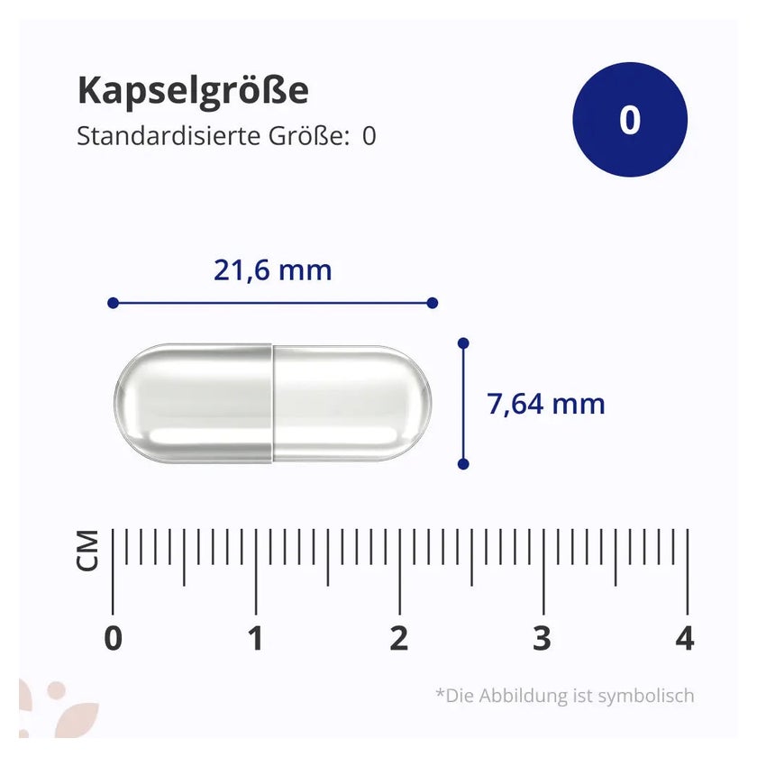 De bedste NAC (N-acetylcystein) tilskud ᐅ 2026 undersøgelse