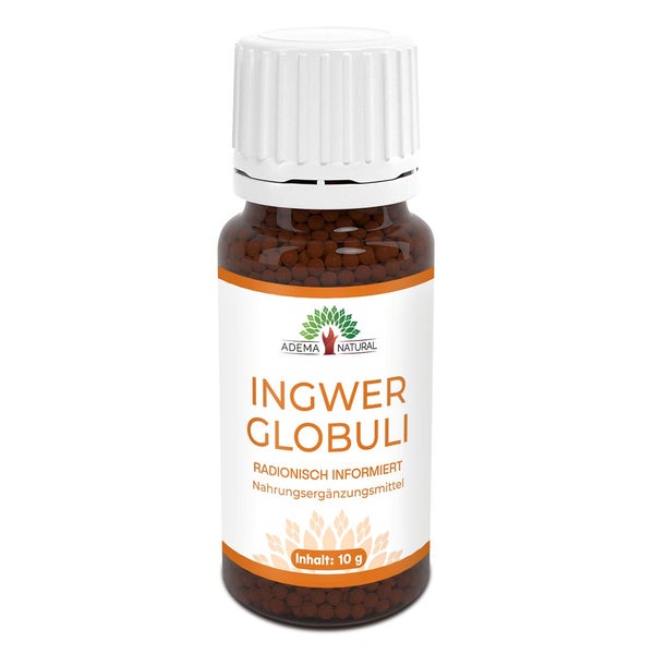 Adema Natural® Ingwer Kügelchen | traditionelle Pflanzenkraft für Verdauung & Wohlbefinden 10 g
