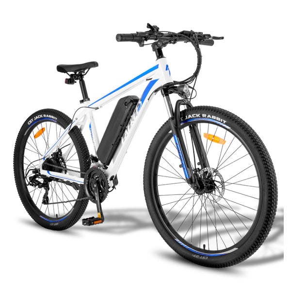Fafrees F28 MT Elektrofahrrad, 36V 15Ah Akku 1 St