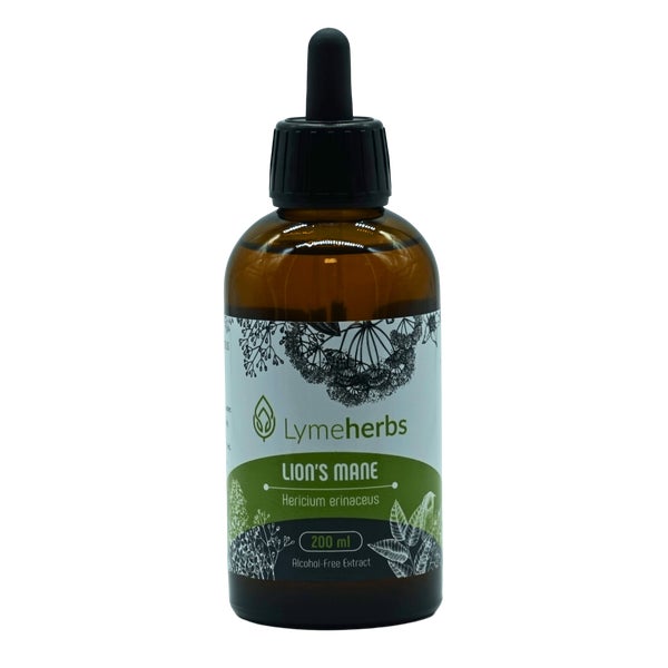 Igel-Stachelbart (lion's mane), Alkoholfreier Extrakt 200ml 200 ml