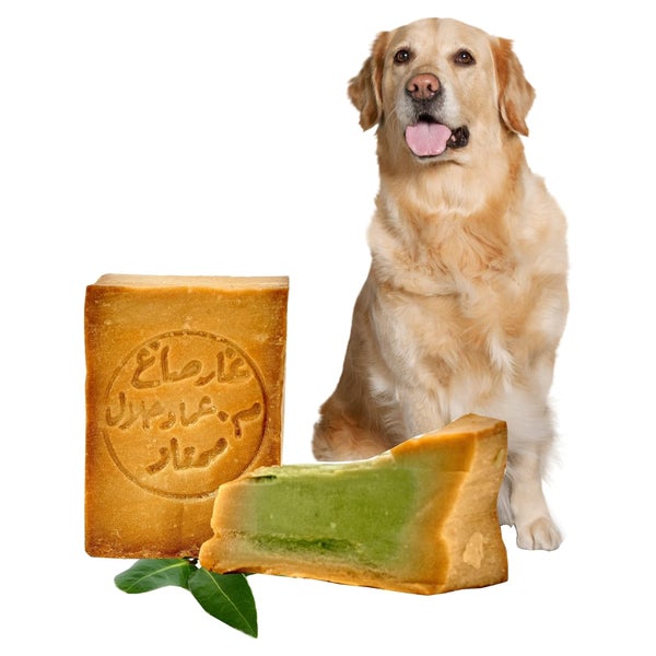 Naturseife für Hund Katze Pferd, festes Tiershampoo Fellseife Fellshampoo vegane Hundeseife 180 g