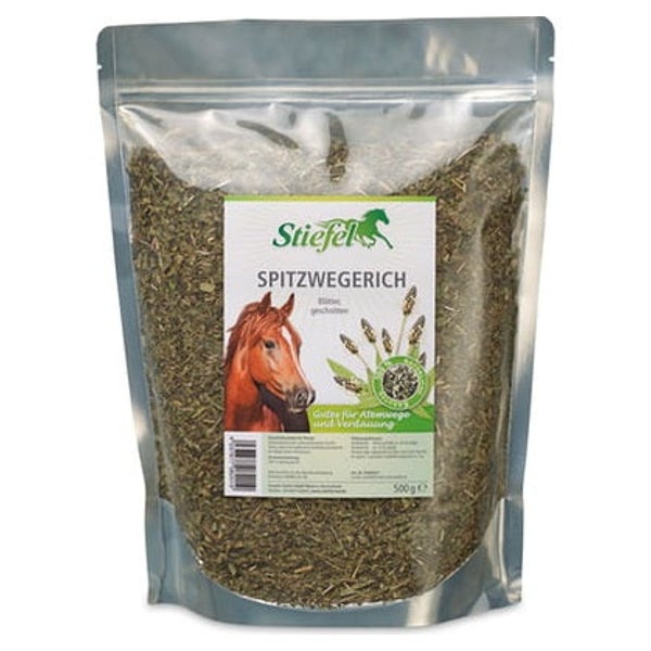 Stiefel Spitzwegerich 0,5 kg