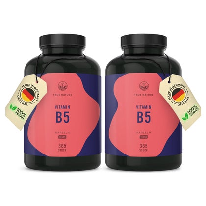 BRAHMI SCOOL Konzentrations-Kapseln | 120 Stk. Vegan | Mit Vitamin B5, Brahmi, Ginkgo & Zink