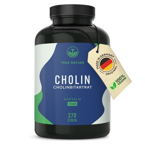 Cholinbitartrat - Cholin hochdosiert - 3 Monate Vorrat 270 St