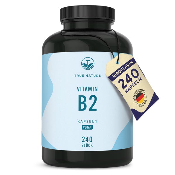 Vitamin B2 Vegan - Riboflavin - 8 Monate Vorrat 240 St