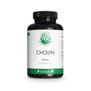 GREEN NATURALS Cholin 600 mg hochdosiert vegan 120 St