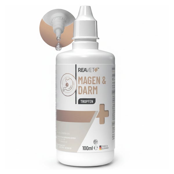 Magen & Darm Tropfen 100 ml
