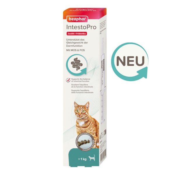 Beaphar IntestoPro Paste für Katzen - Unterstützt das Gleichgewicht der Darmfunktion - 20 ml 20 ml