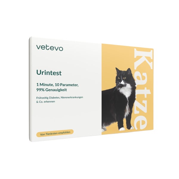 Urintest Katze 1 St