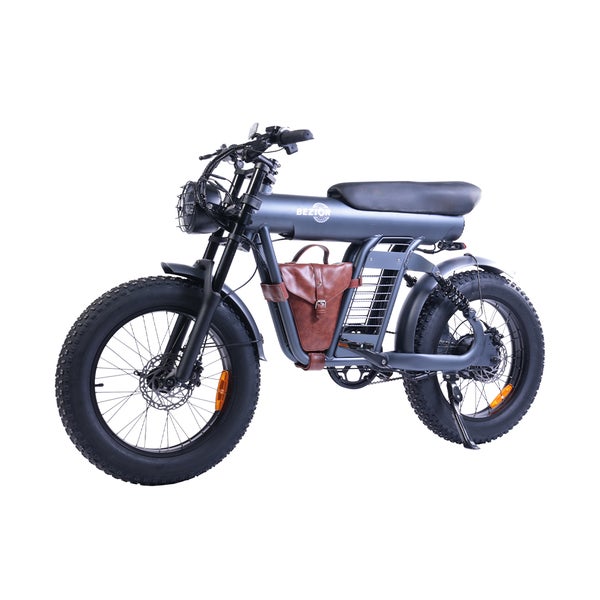 BEZIOR XF006 Elektro-Mountainbike 20 Zoll, 48 V, 23,2 Ah 1 St